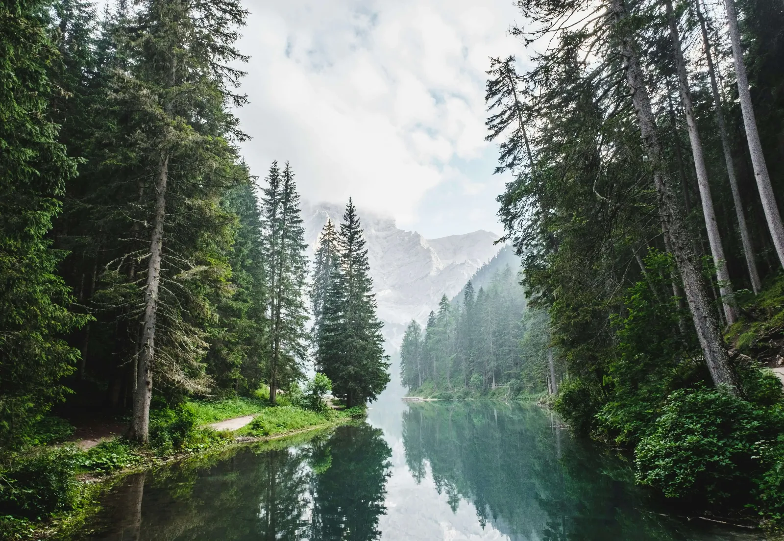 Nature background